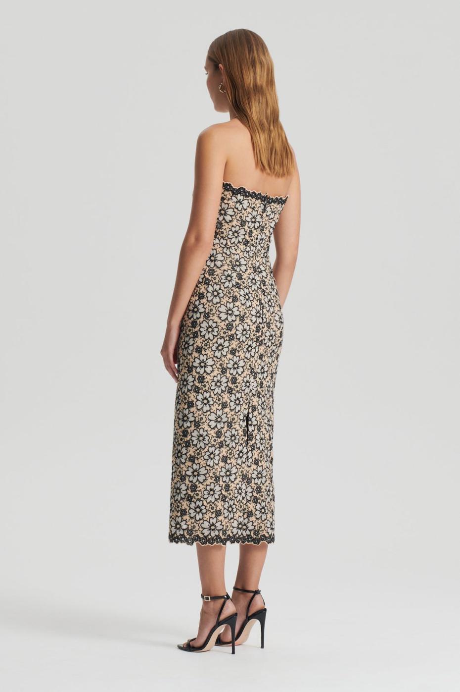 Dresses | Women Scanlan Theodore EMBROIDERED FLORAL DRESS Black.cream