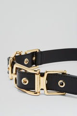 Belts | Women Scanlan Theodore TWIN SADDLE BUCKLE BELT 2.5 Black