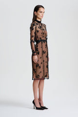 Dresses | Women Scanlan Theodore BEADED TULLE DRESS Black