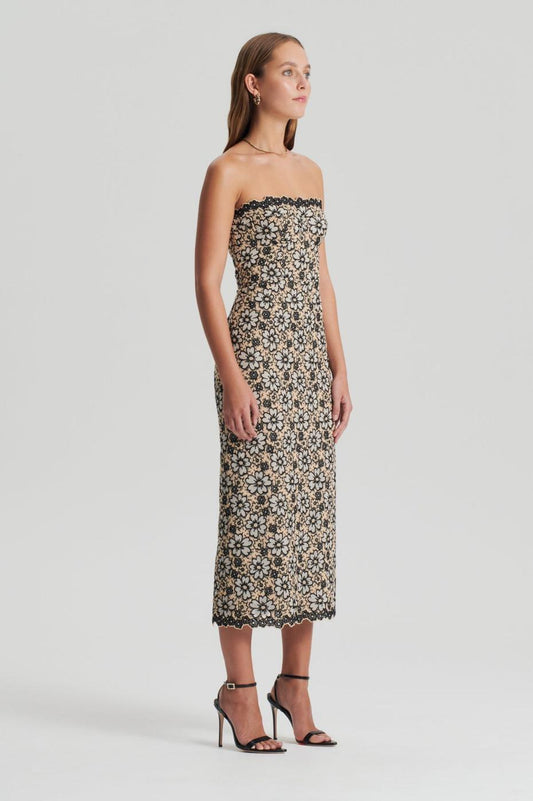Dresses | Women Scanlan Theodore EMBROIDERED FLORAL DRESS Black.cream