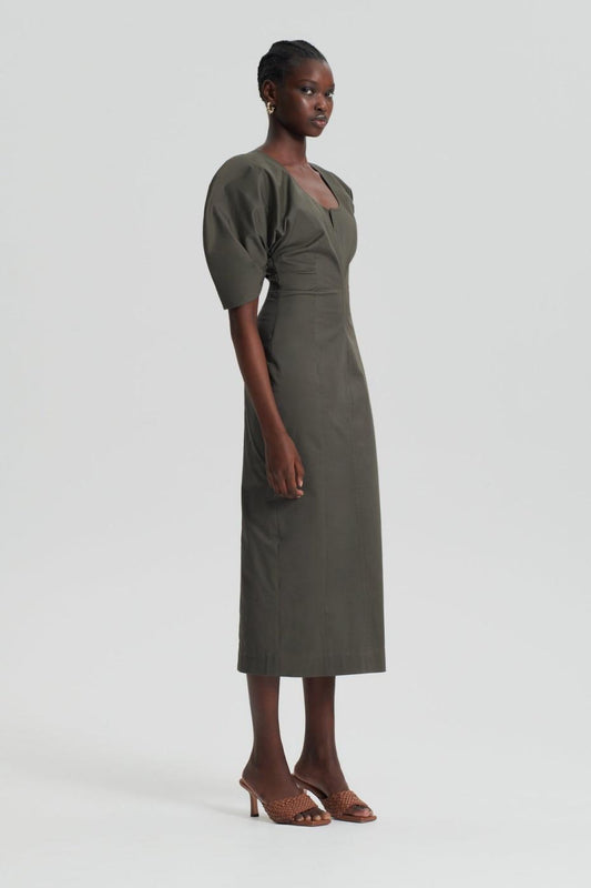 Dresses | Women Scanlan Theodore SATEEN COTTON TAILORED DRESS Khaki