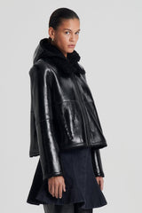 Leather | Women Scanlan Theodore SHEARLING JACKET Black.black